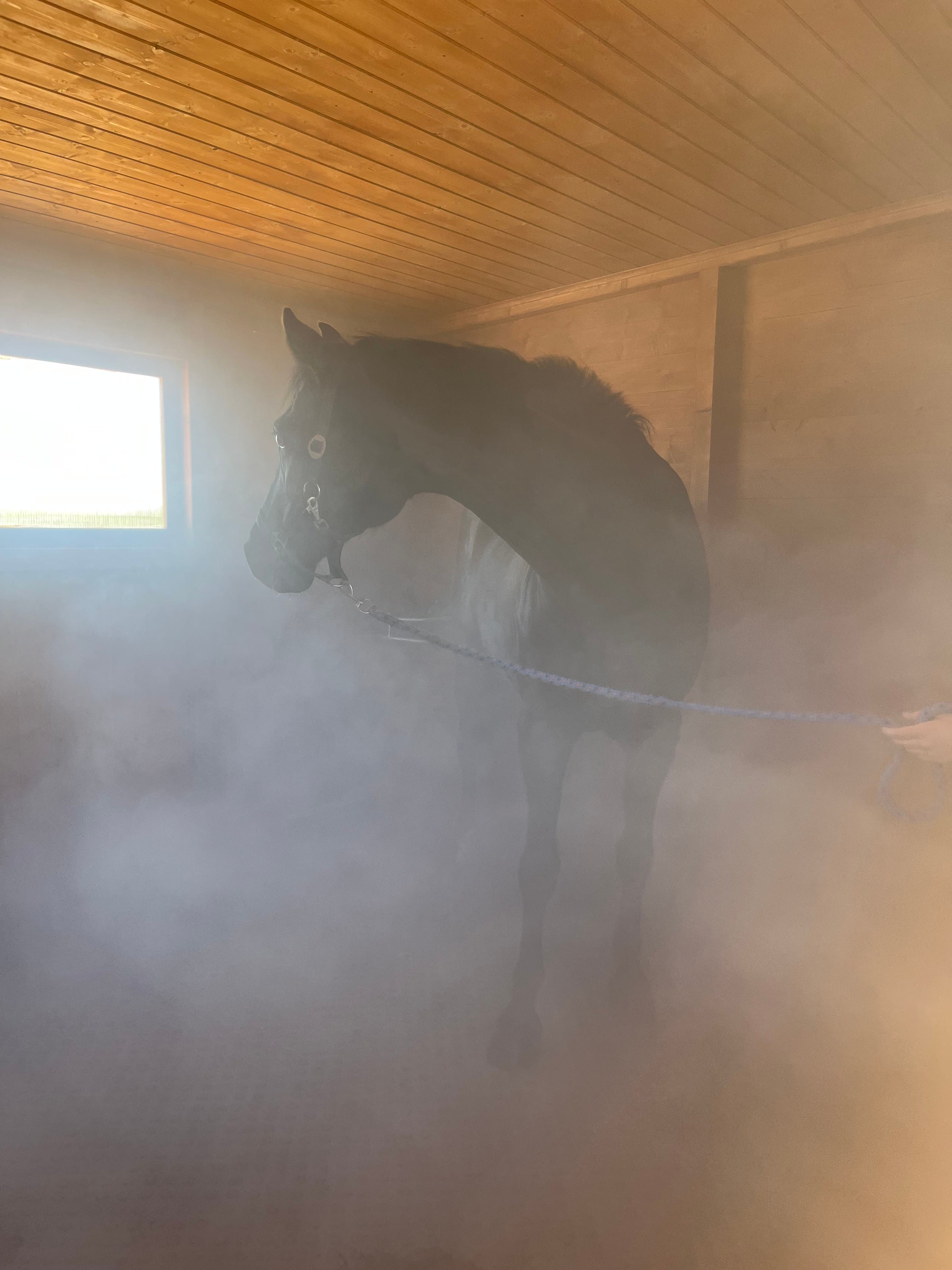 Solná terapie — fotografie 3350