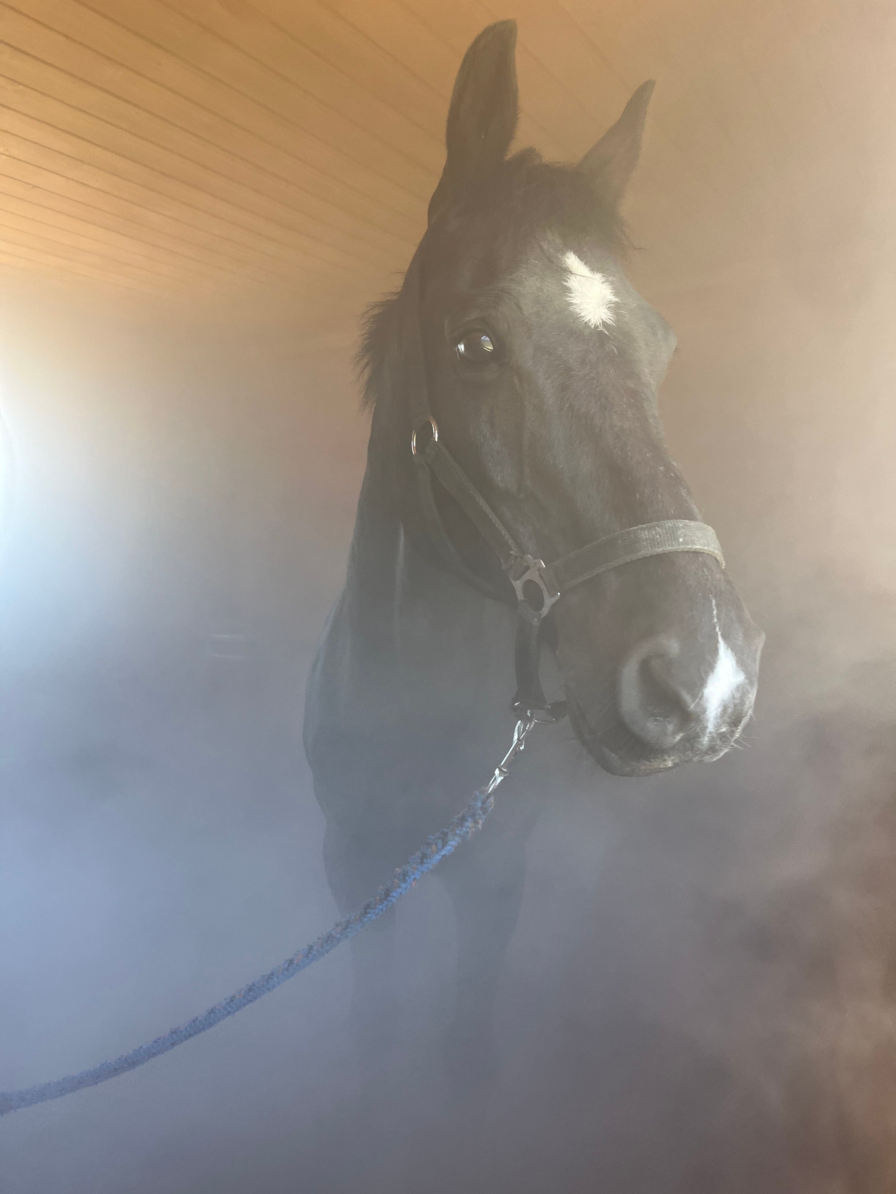Solná terapie — fotografie 3371